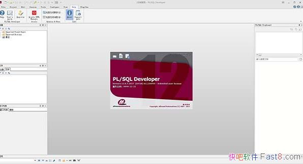 PLSQL Developer 14.0.5 ƽ/עͺ