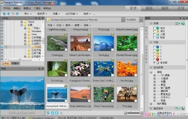 ����ACDSee12�����ƽ�����ة�ACDSee���к�