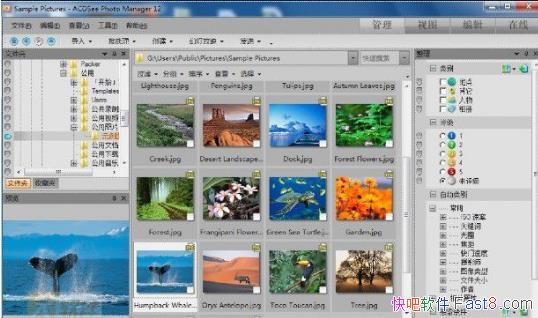 ACDSee12�����ƽ������(����ACDSee�ƽ��ACDSee���к�)