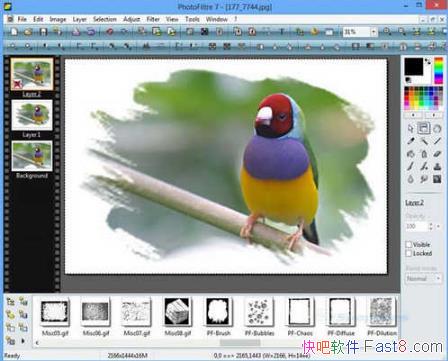 ͼ��༭���� PhotoFiltre Studio X 10.14.0 ����ע���