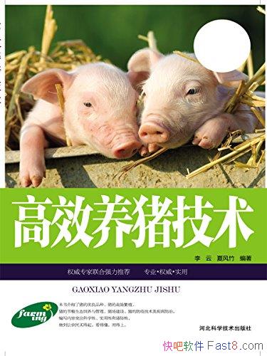 ����Ч�����������ķ���/�����������Ч��ؼ�������ʩ/epub+mobi+azw3