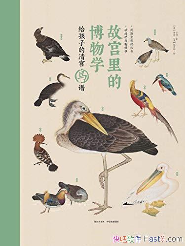 ���ʹ���Ĳ���ѧ:�����ӵ��幬���ס���Ȥ���϶��ﴫ��/epub+mobi+azw3