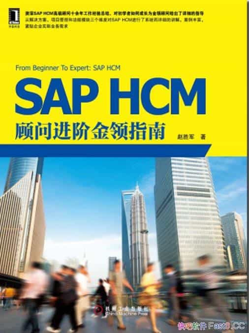 ��SAP HCM���ʽ��׽���ָ�ϡ�/�߼�����ʮ�깤������/epub+mobi+azw3