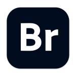 Adobe Bridge 2026 for Mac v16.0.2 Br2026 ���������ƽ�/������Դ������