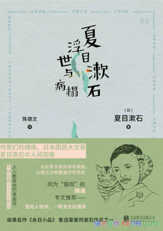 ����Ŀ��ʯ�����벡齡���Ŀ��ʯ/����ϸ�µ���̹۲�/epub+mobi+azw3
