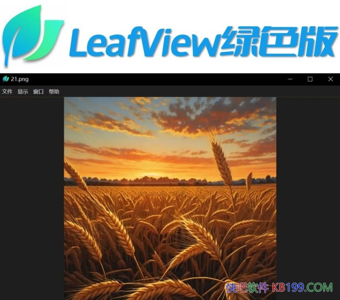LeafViewͼƬ�鿴��v4.3.3��ɫ��/һ��������ͼƬ�鿴����������ؿ���