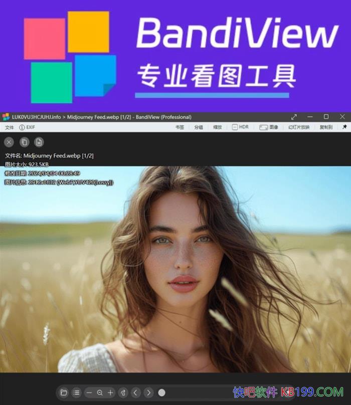 ͼ��鿴��BandiView v7.20��ɫ��/�ǳ�ֵ���Ƽ��ĵ���ȫ�ܿ�ͼ�������