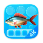 ��̬���������ֽ Aquarium 4K for Mac v1.1.1 �ƽ��/��˼����ӱ���ı�ֽ