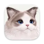 inZOI for Mac v0.19 ������/һ����������ģ����Ϸ ���صĹ��º;���