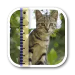 SizeMyPics for Mac v1.8.1�ƽ��/���ܴ����������ͼ���ʽ��Ϊ����
