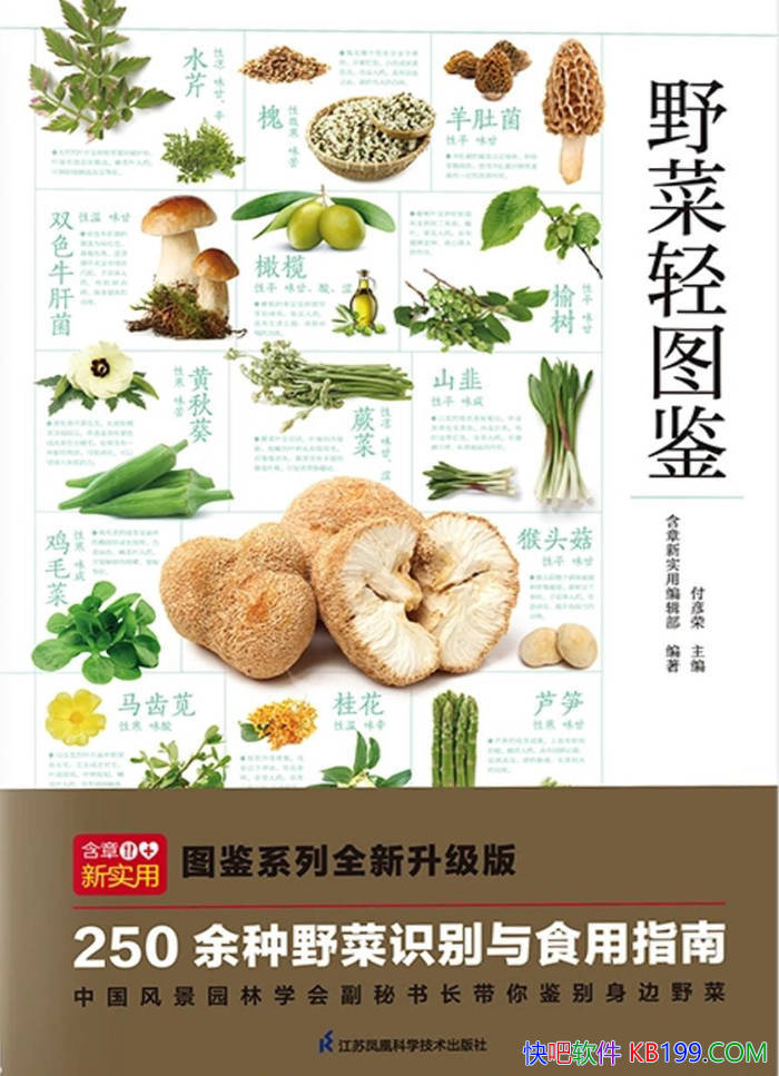 ��Ұ����ͼ����������/ָ��������ηֱ��ʳ��Ұ��/epub+mobi+azw3+pdf 