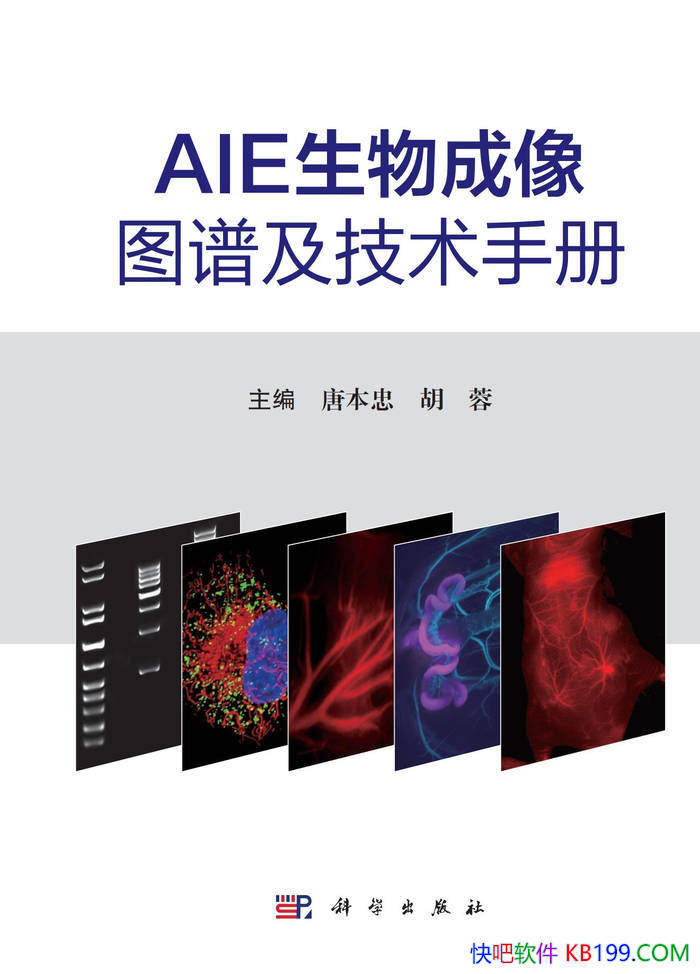 ��AIE�������ͼ�׼������ֲᡷ�Ʊ���/�ֲṤ���� /epub+mobi+azw3+pdf 
